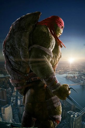 关于《忍者神龟》的名字有哪些?