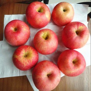 自制水果酵素的做法比例是多少?