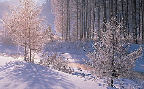 你最尴尬的事是什么？