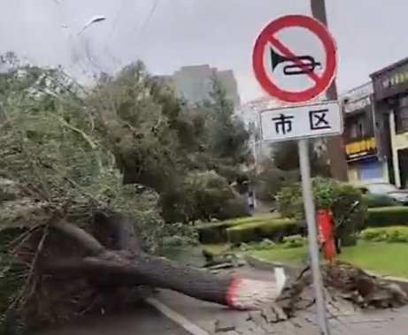 吉林珲春一房屋屋顶被台风掀翻,还造成了其他什么影响?