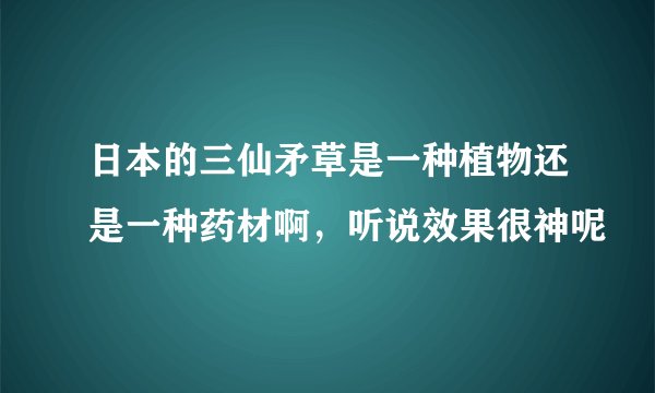 日本的三仙矛草是一种植物还是一种药材啊，听说效果很神呢