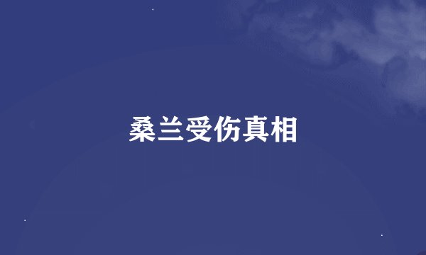 桑兰受伤真相