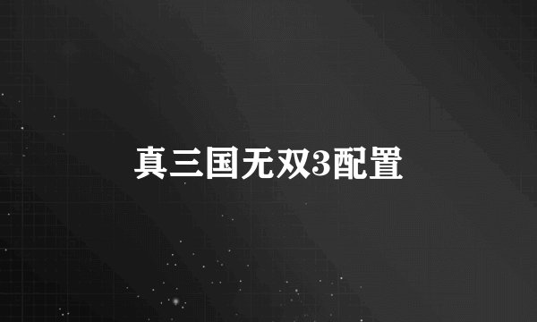 真三国无双3配置