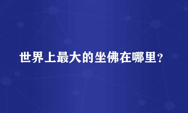 世界上最大的坐佛在哪里？