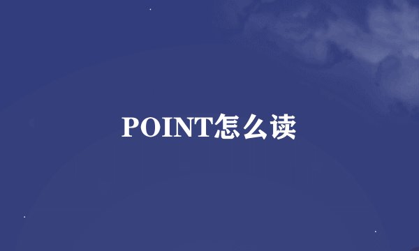 POINT怎么读