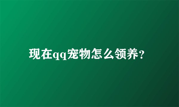 现在qq宠物怎么领养？