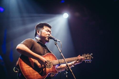 爱上一匹野马什么歌