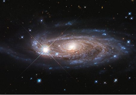 nasa是什么意思啊?