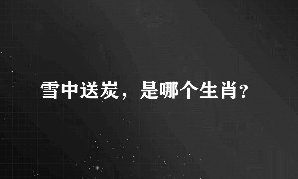 雪中送炭，是哪个生肖？