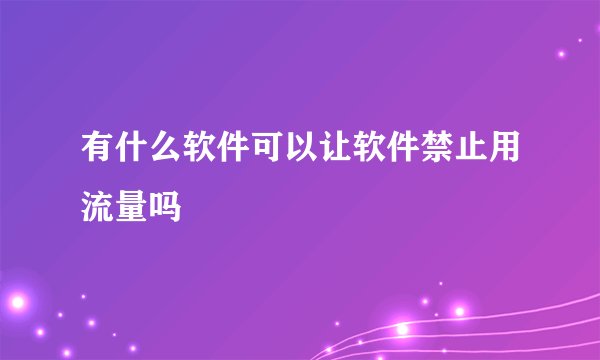有什么软件可以让软件禁止用流量吗