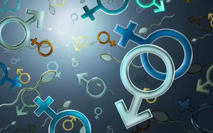 男女性别符号是什么？