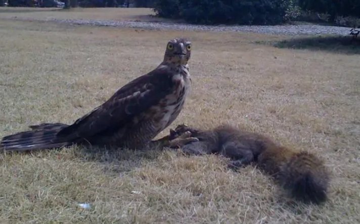 适者生存物竞天择是什么意思？