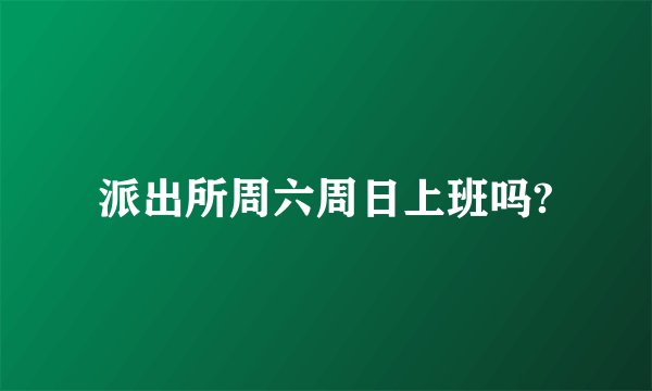 派出所周六周日上班吗?