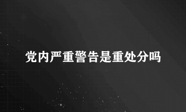 党内严重警告是重处分吗