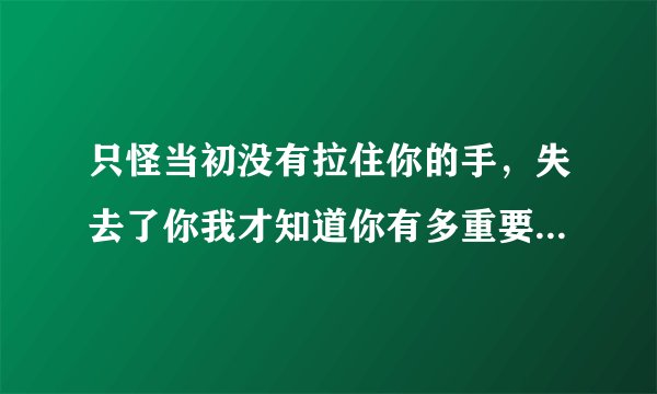 只怪当初没有拉住你的手，失去了你我才知道你有多重要，失去你以后，我的心也好难受(歌词)这首是什么歌