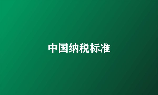 中国纳税标准