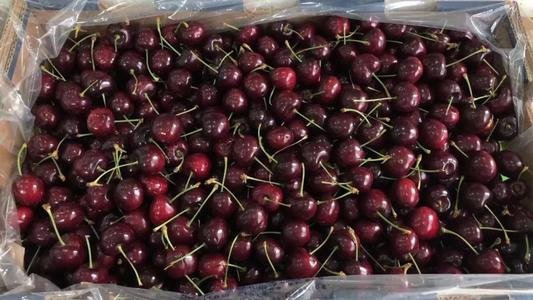 2021年车厘子价格腰斩,这是怎么一回事?