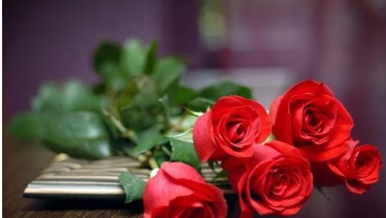 玫瑰的花期是多久?