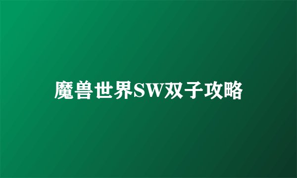 魔兽世界SW双子攻略