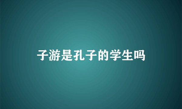 子游是孔子的学生吗