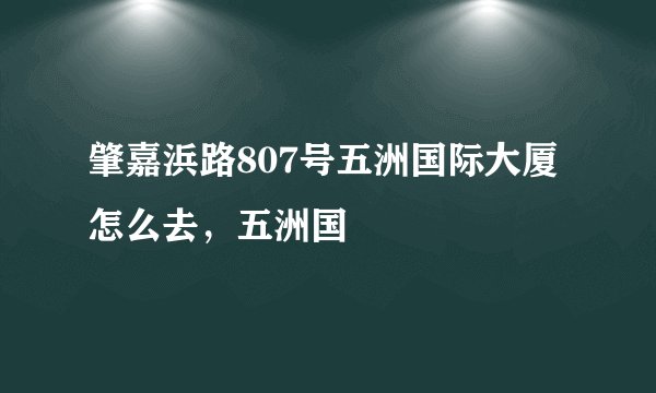 肇嘉浜路807号五洲国际大厦怎么去，五洲国
