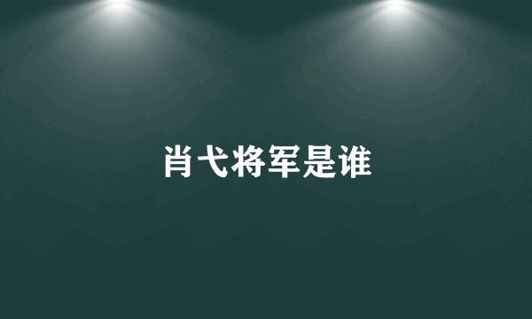 肖弋将军是谁