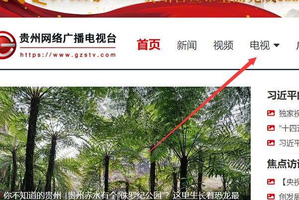 请问贵州电视台六套科教健康频道在哪里可以看