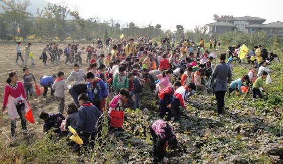 什么是  综合实践