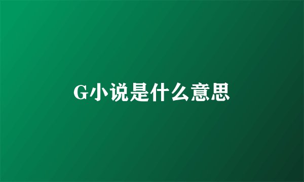 G小说是什么意思