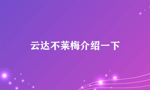 云达不莱梅介绍一下