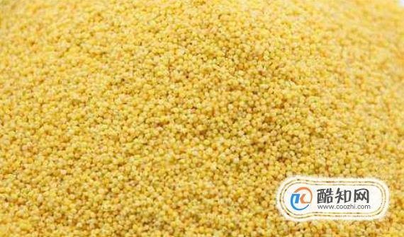 小米和大米有什么区别