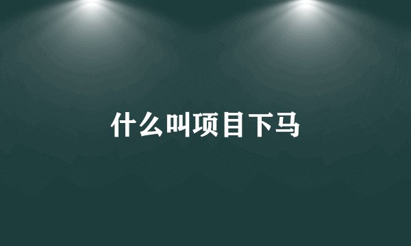 什么叫项目下马
