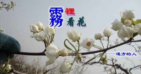 雾里看花，水中望月啥意思