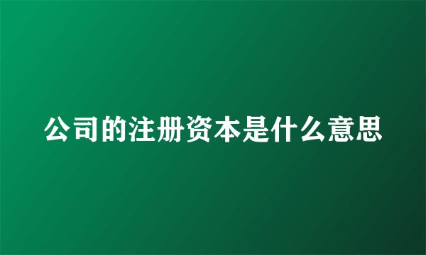 公司的注册资本是什么意思