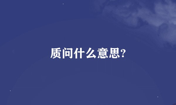 质问什么意思?