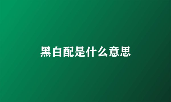 黑白配是什么意思