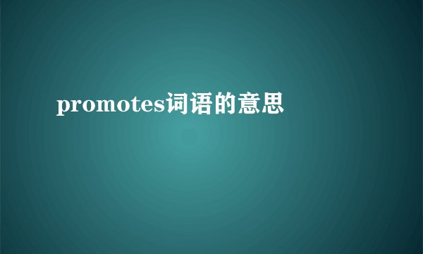 promotes词语的意思