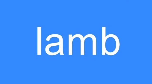 lamb什么意思