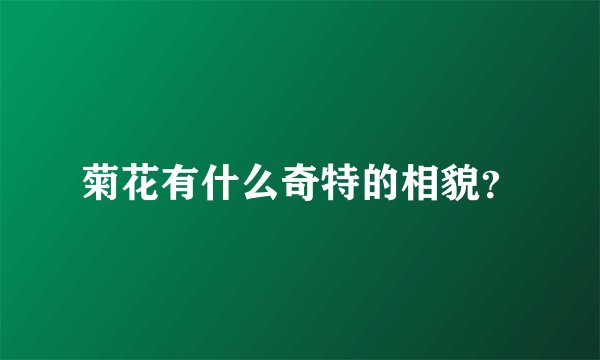 菊花有什么奇特的相貌？