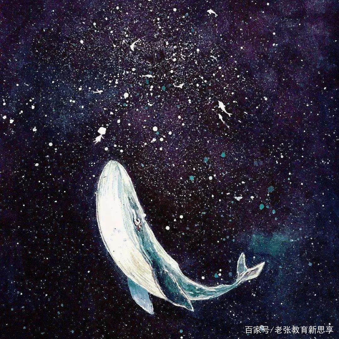 所念皆星河所系皆山海什么意思?