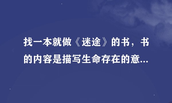 找一本就做《迷途》的书，书的内容是描写生命存在的意义，作者好像是外国的，知道的朋友请告诉我谢谢了。