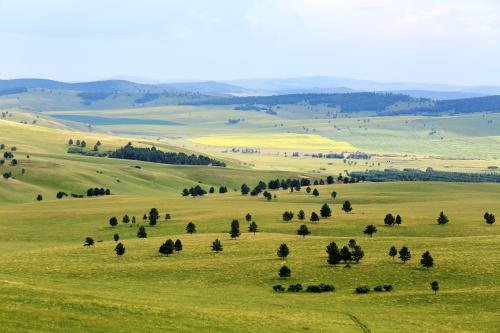 中国七大防护林都是什么？