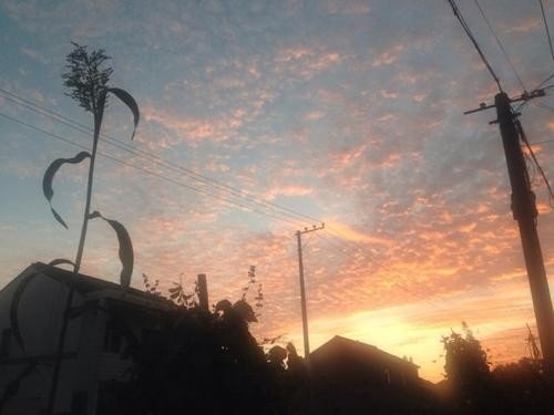 空空落落读音是什么？