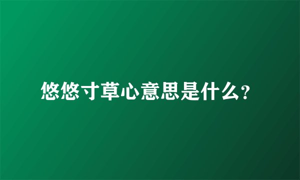 悠悠寸草心意思是什么？