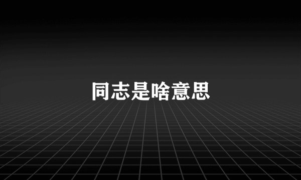 同志是啥意思