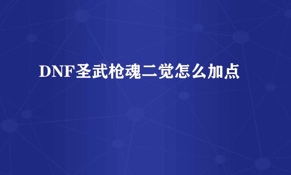 DNF圣武枪魂二觉怎么加点