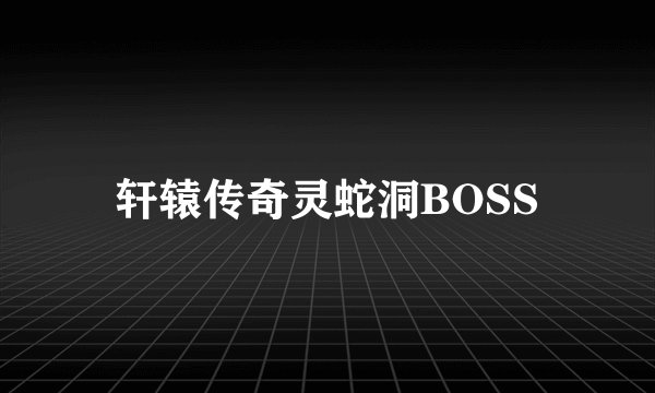 轩辕传奇灵蛇洞BOSS