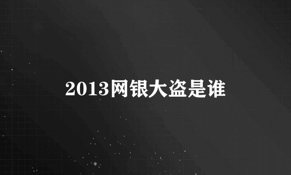 2013网银大盗是谁