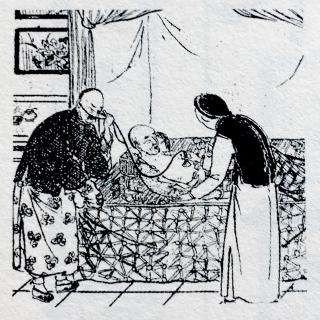 苏七块是个什么样的人