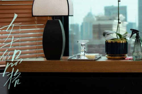 万茜主演的电视剧